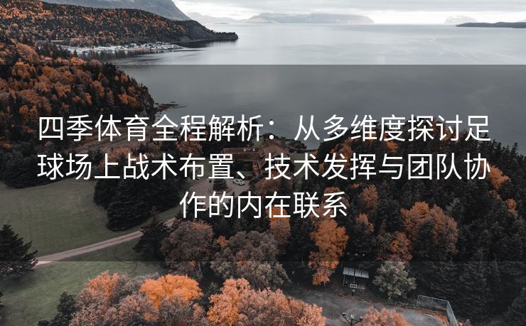 四季体育全程解析：从多维度探讨足球场上战术布置、技术发挥与团队协作的内在联系